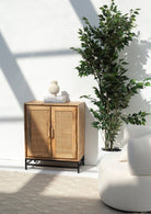 Rattan Two Doors Sideboard/Cabinet 