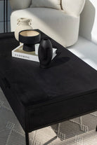 Black 2 Drawer Coffee Table & TV Unit 