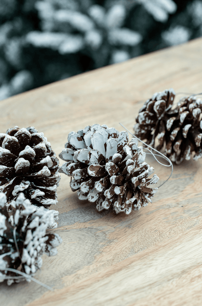 Snow Tipped Pine Cone Christmas Decor (Set of 4) Homekode 