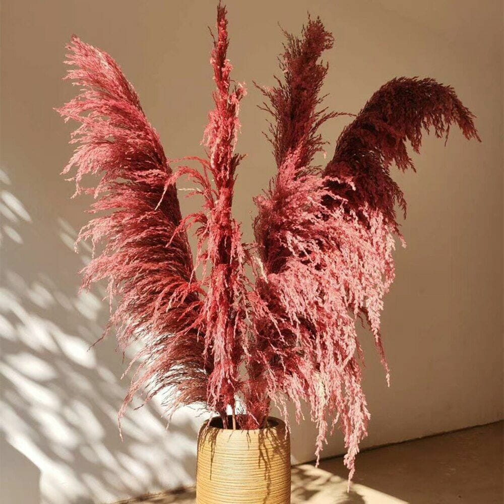 Long Dried Flower Purple Pampas (5 stems)